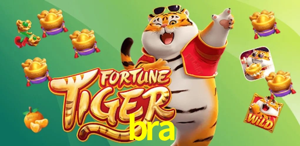 Experiência VIP bra